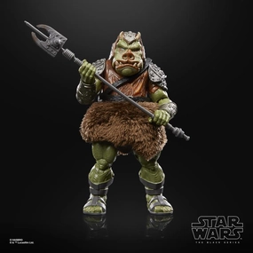 Hasbro Star Wars Black Series 40th Anniversary Return of the Jedi Gamorrean Guard 6 Inch Action Figure Exclusive Steampunk Gadget