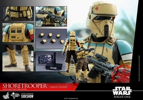 Impressionist Art Hot Toys 1/6 Star Wars: Rogue One: A Star Wars Story Shoretrooper Squad Leader Sixth Scale MMS592