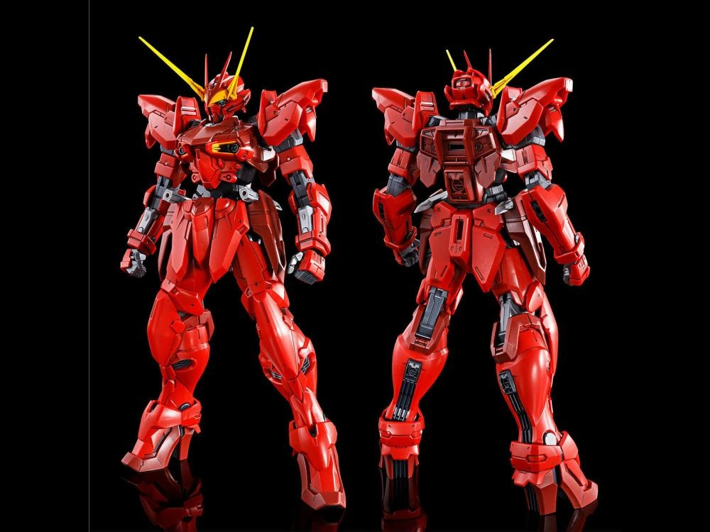Licensed Product Robot Design Gundam 1/100 MG Seed Astray Testament Gundam Model Kit Exclusive
