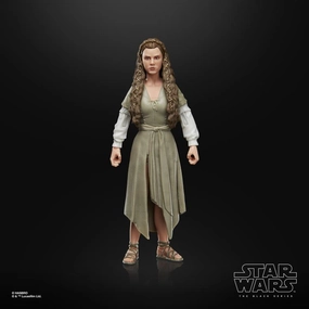 Hasbro Star Wars Black Series Return of the Jedi #09 Princess Leia (Ewok Village) 6 Inch Action Figure Posable Statue Mainstream Appeal