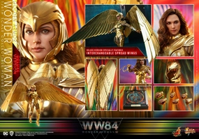 Hot Toys 1/6 DC Comics Golden Armor Wonder Woman DELUXE Version Sixth Scale Figure MMS578 Fantasy Figure Protective Case
